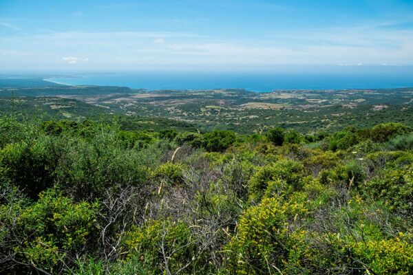 Sardinien, Mountainbike-Tour am Monte Ferru